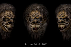 Lercher-Friedl-2003